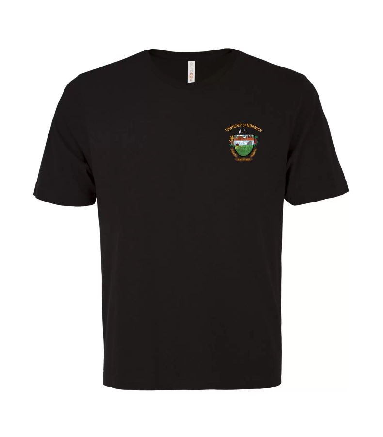 Men's Eurospun Ring Spun Tee - Image 3