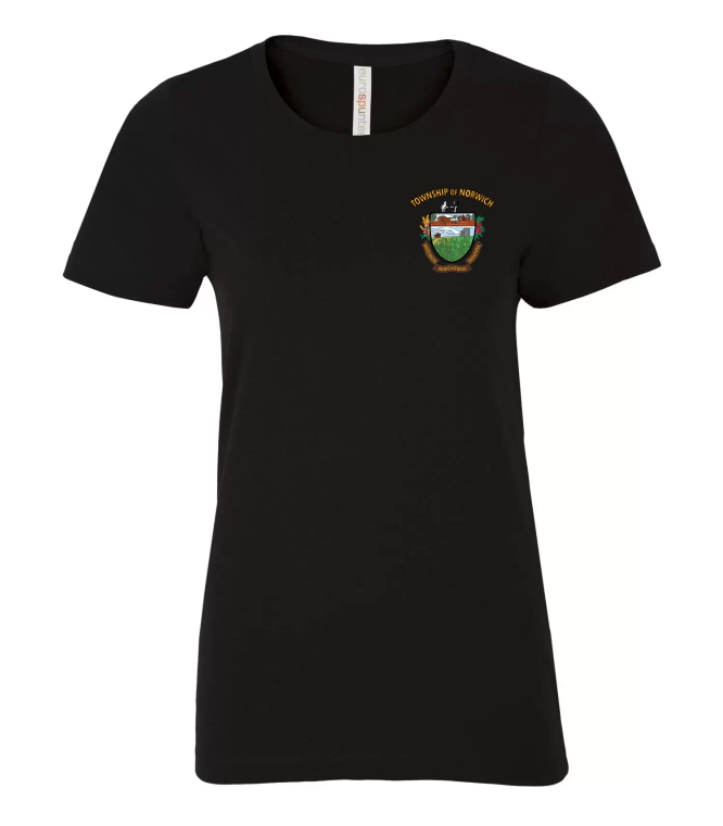 Ladies Eurospun Ring Spun Tee - Image 3